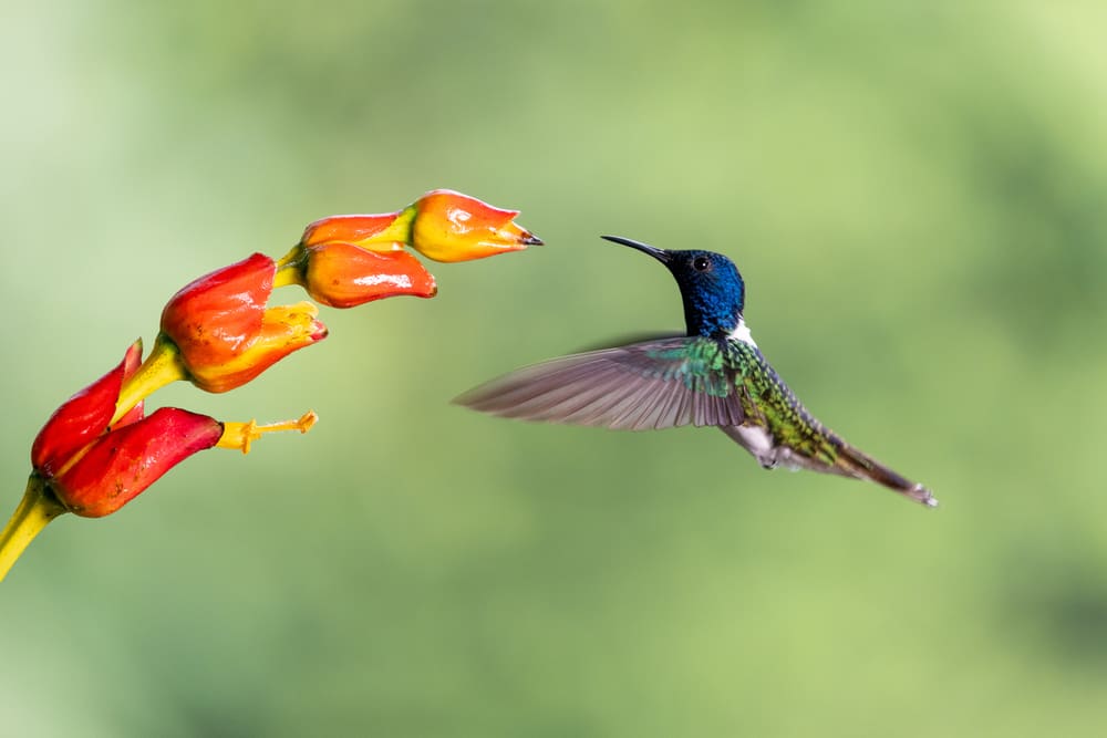 Wildlife photography featured on the expedition landing page